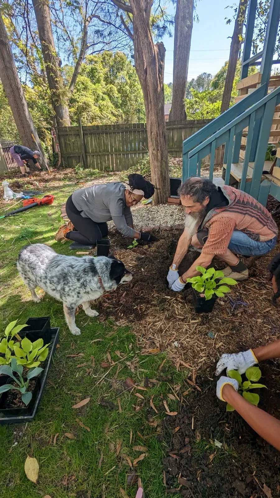 Auroraflow team planting together